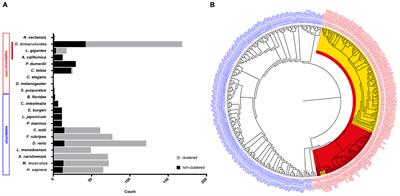 In silico Identification and Expression of Protocadherin Gene Family in Octopus vulgaris